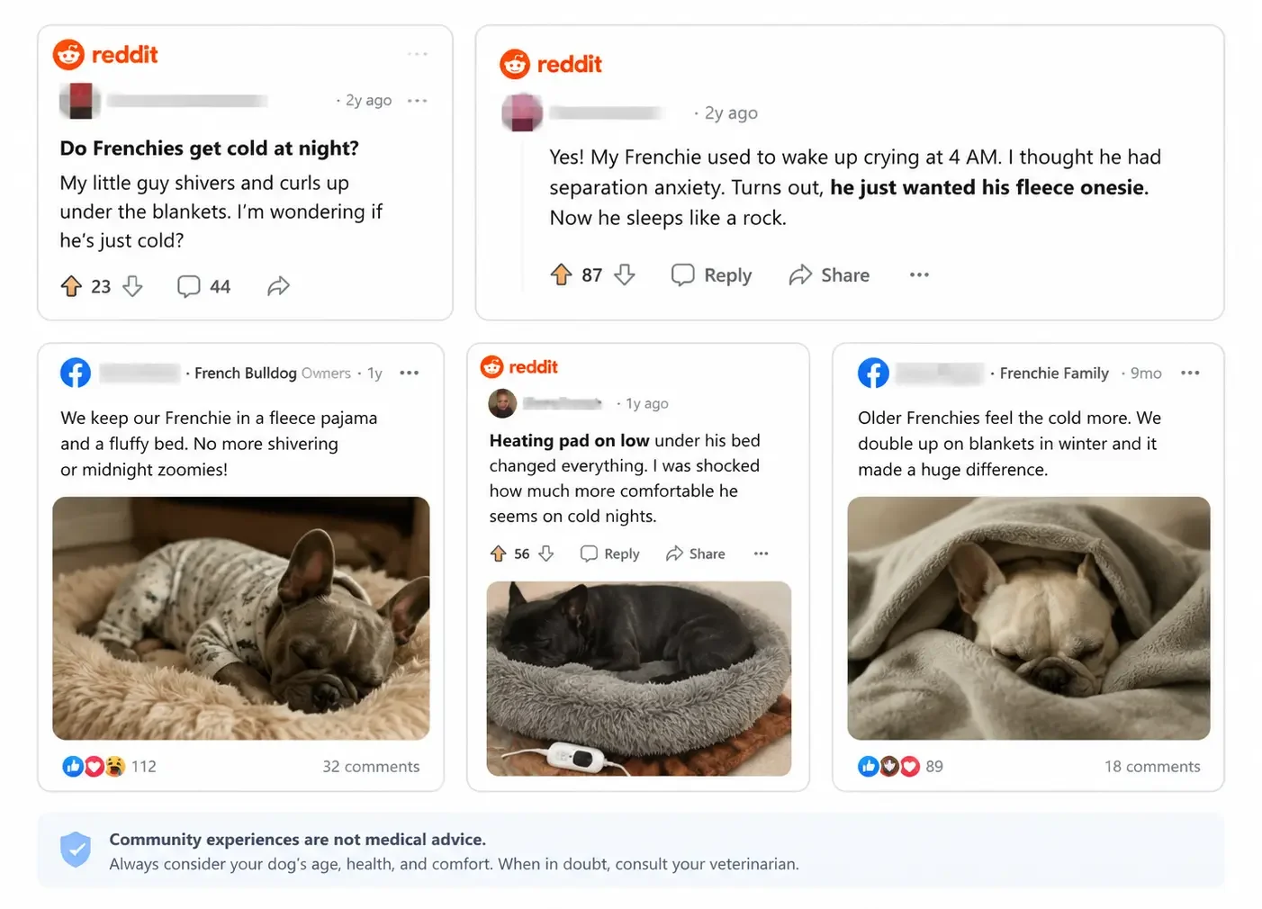 Illustrative community-style posts discussing French Bulldog nighttime warmth